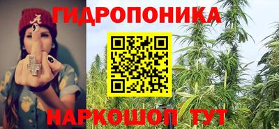 эйфоретик Камышлов