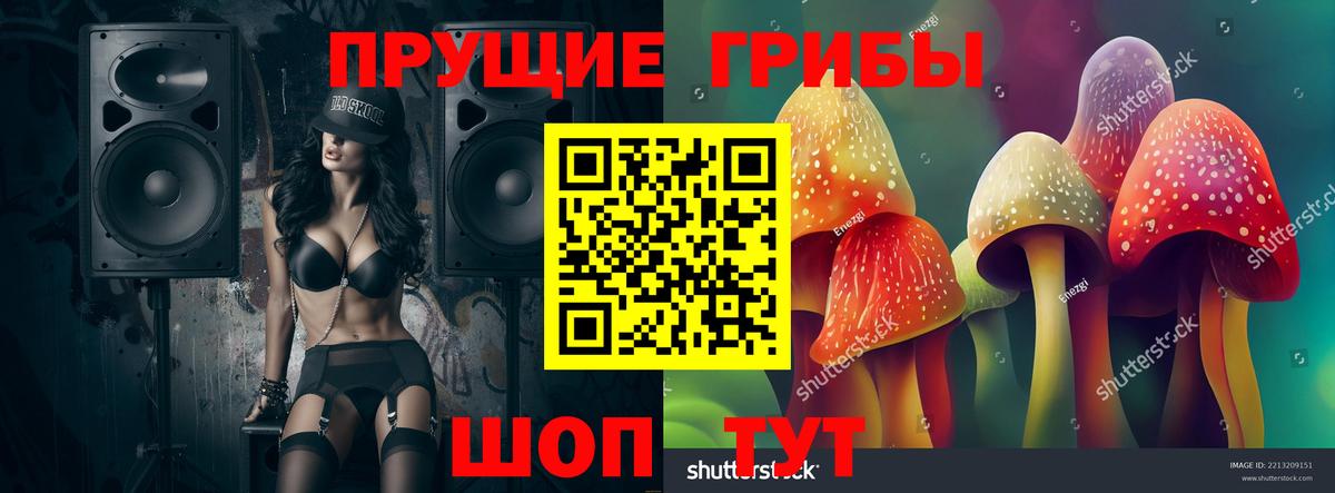 Курск  Галлюциногенные грибы Psilocybe  Вход с VPN 
